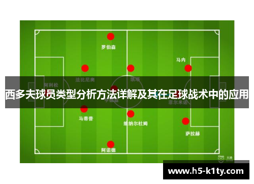 西多夫球员类型分析方法详解及其在足球战术中的应用